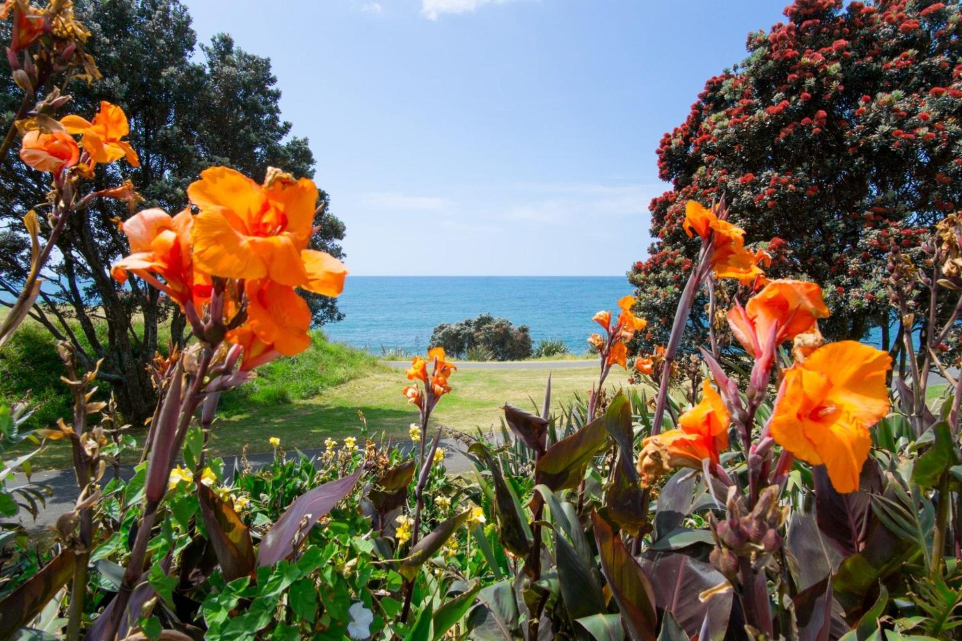 Sea Breeze On Belt By Coastal Walkway Villa New Plymouth Eksteriør bilde